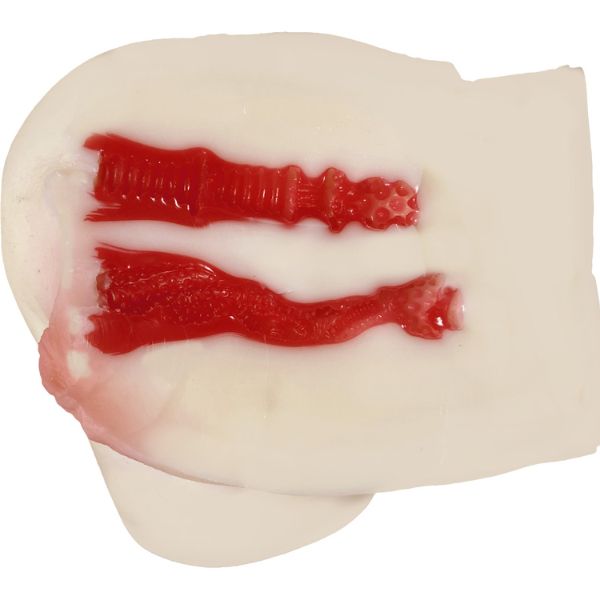 Dual Hole Vagina & Anal Masturbator - internal tunnel dual layer structure