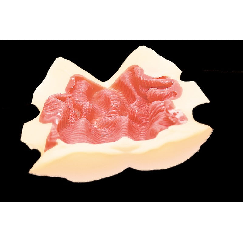 pocket pussy size reference