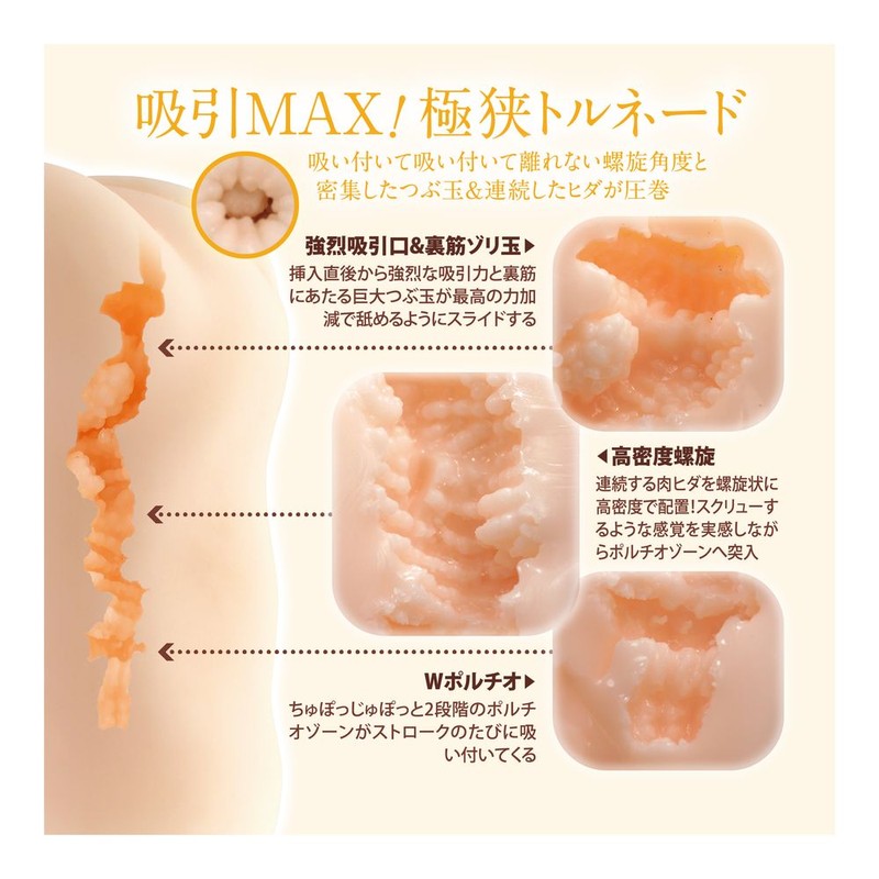 torso size reference