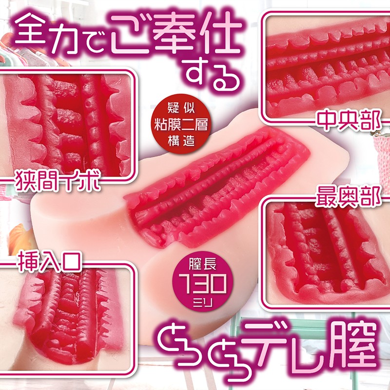 Tamed the Tsundere Maid! box front