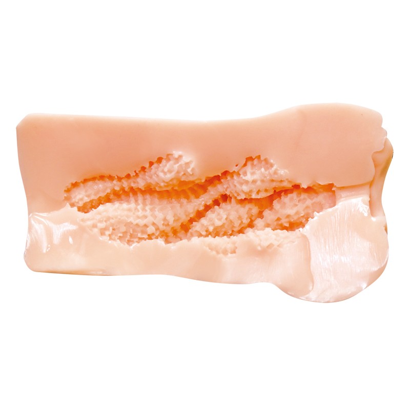 pocket pussy detail close-up