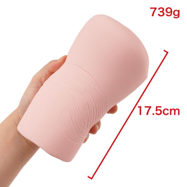 onahole-pocket-pussy_virgin_hentai_Honesty_Onast_d