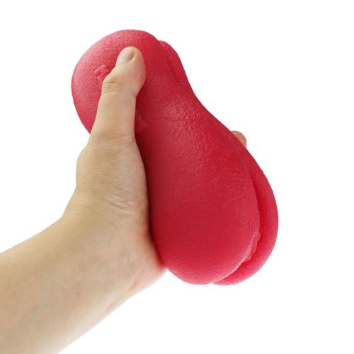 Hardcover tender vaginal macarons (6)