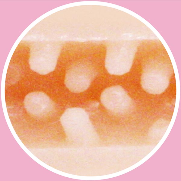 Horny Rabbit Girl - Beast Kingdom Series 5