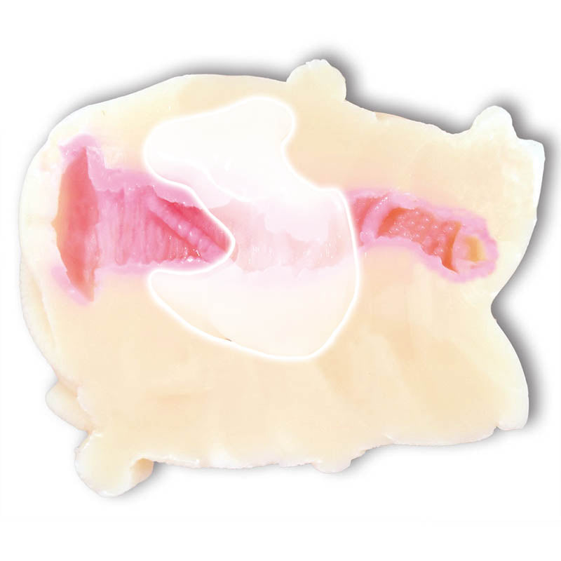 M Girl's Wet Bondage - Hips Onahole - Tight Pussy-4