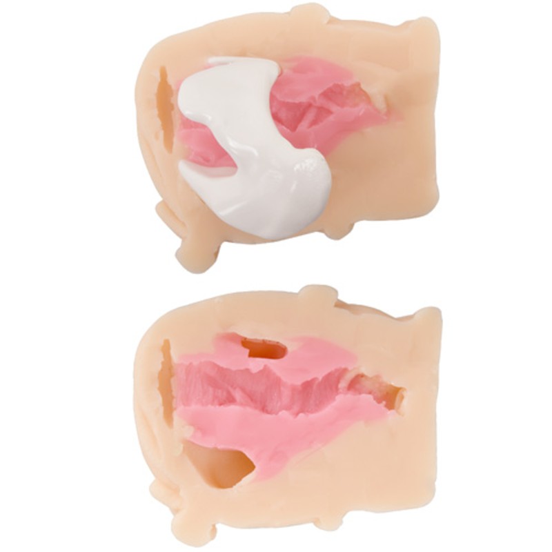 M Girl's Wet Bondage - Hips Onahole - Tight Pussy-9